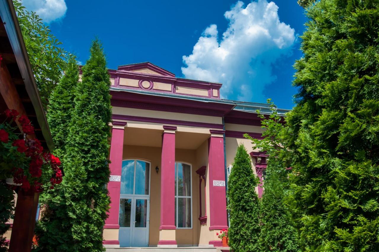 Pensiunea Splendid Dorohoi Exterior foto